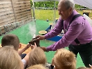 Dzień pszczół 2025