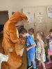 helendoron_2