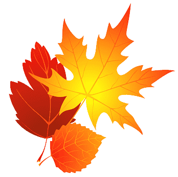 png clipart autumn leaf color leaf leaf maple leaf thumbnail removebg preview 1