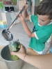 kolorowe-wakacje-kolor-zielony_8