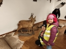 muzeum-zamku-w-niepolomicach_19