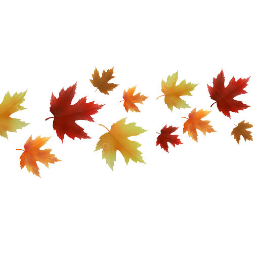 pngtree autumn leaves on a transparent background png image 6586982 removebg preview