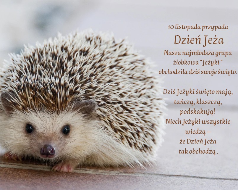 Zrzut ekranu 2025 11 05 162350