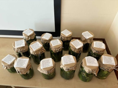 kolorowe wakacje kolor rozowy 19 20250802 2066945974