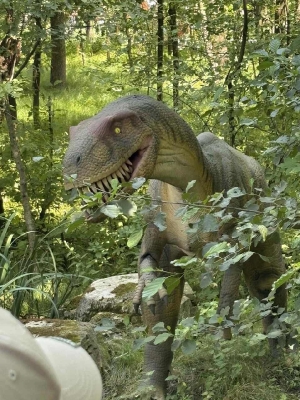 zatorland 2025 1 20250724 1580448192