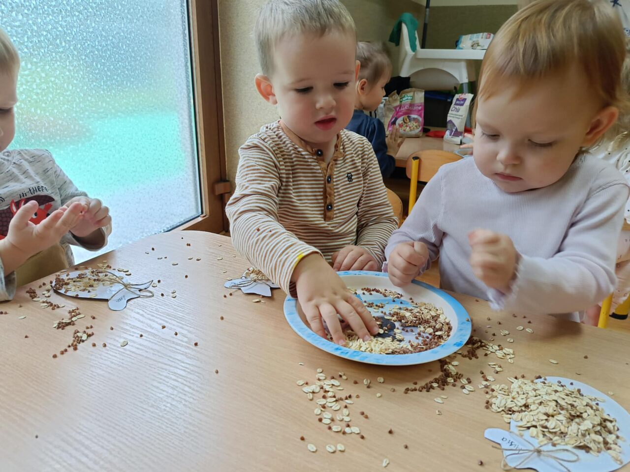 zajecia sensoryczne 14 11 20251003 1441537820